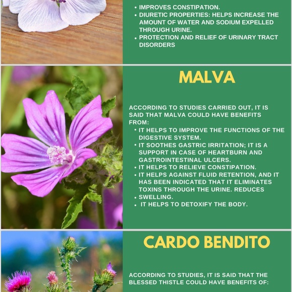 Tea Vida Divina - Picture 9 of 12